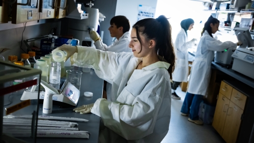Four students working in a lab all wearing lab coats and doing different tasks.