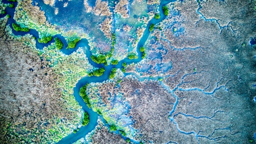 Aerial shot of waterways in colors blue and green.
