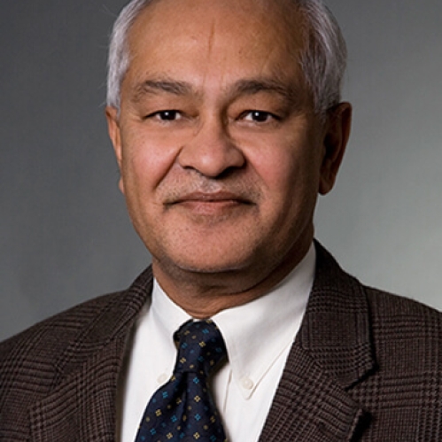 headshot of male with grey hair wearing a brown suit, patterned tie, and white shirt