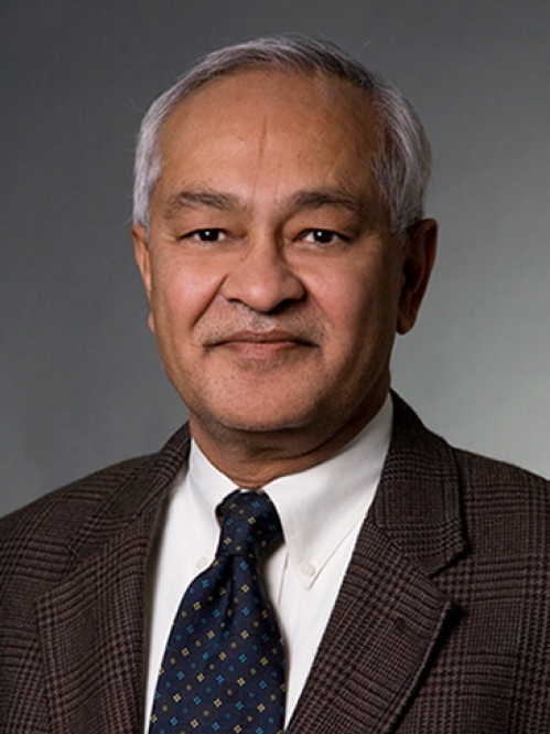 headshot of male with grey hair wearing a brown suit, patterned tie, and white shirt